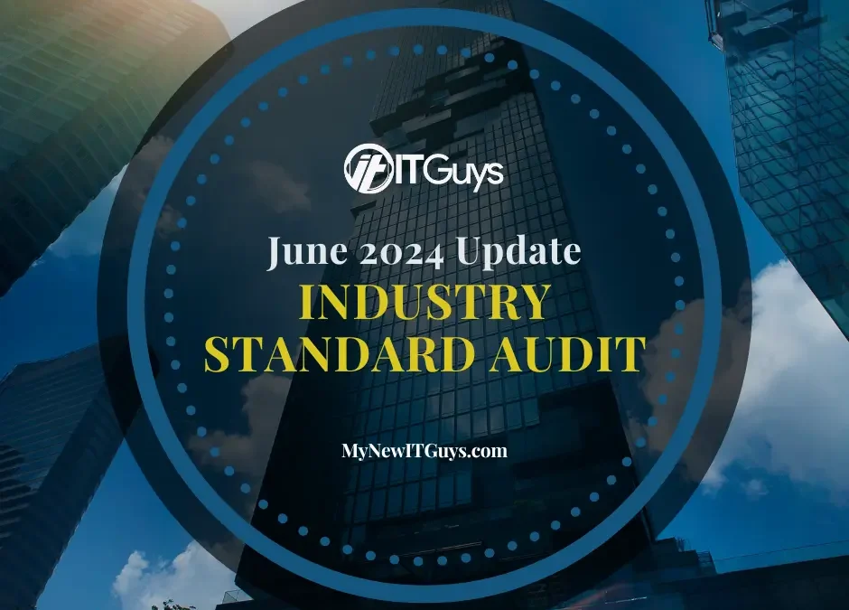 June 2024 Update: Industry Standard Audit